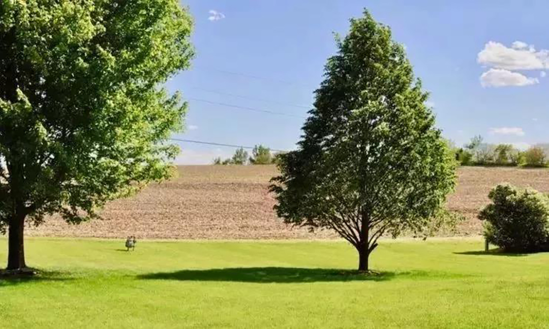 植樹節(jié)|守護(hù)綠色家園的秘密武器！