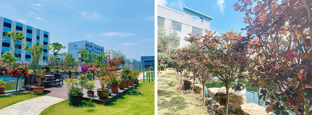 植樹節(jié)|守護(hù)綠色家園的秘密武器！