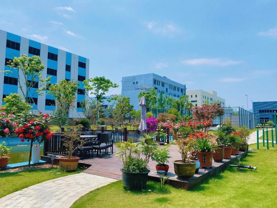 風(fēng)景這邊獨好！東大環(huán)境美景一覽，請查收