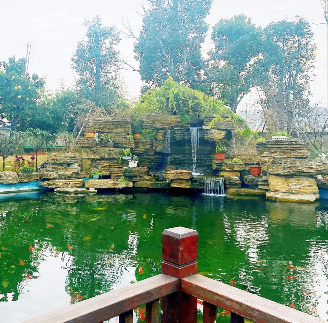 風(fēng)景這邊獨好！東大環(huán)境美景一覽，請查收