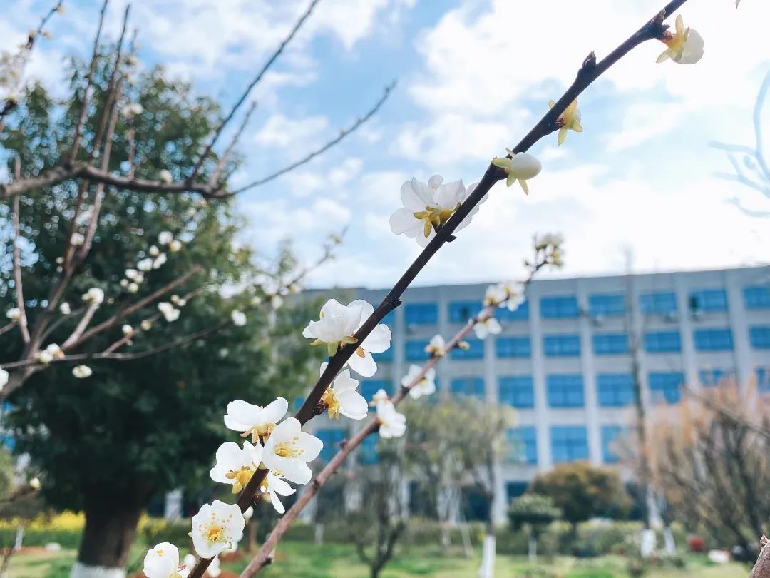 風(fēng)景這邊獨好！東大環(huán)境美景一覽，請查收