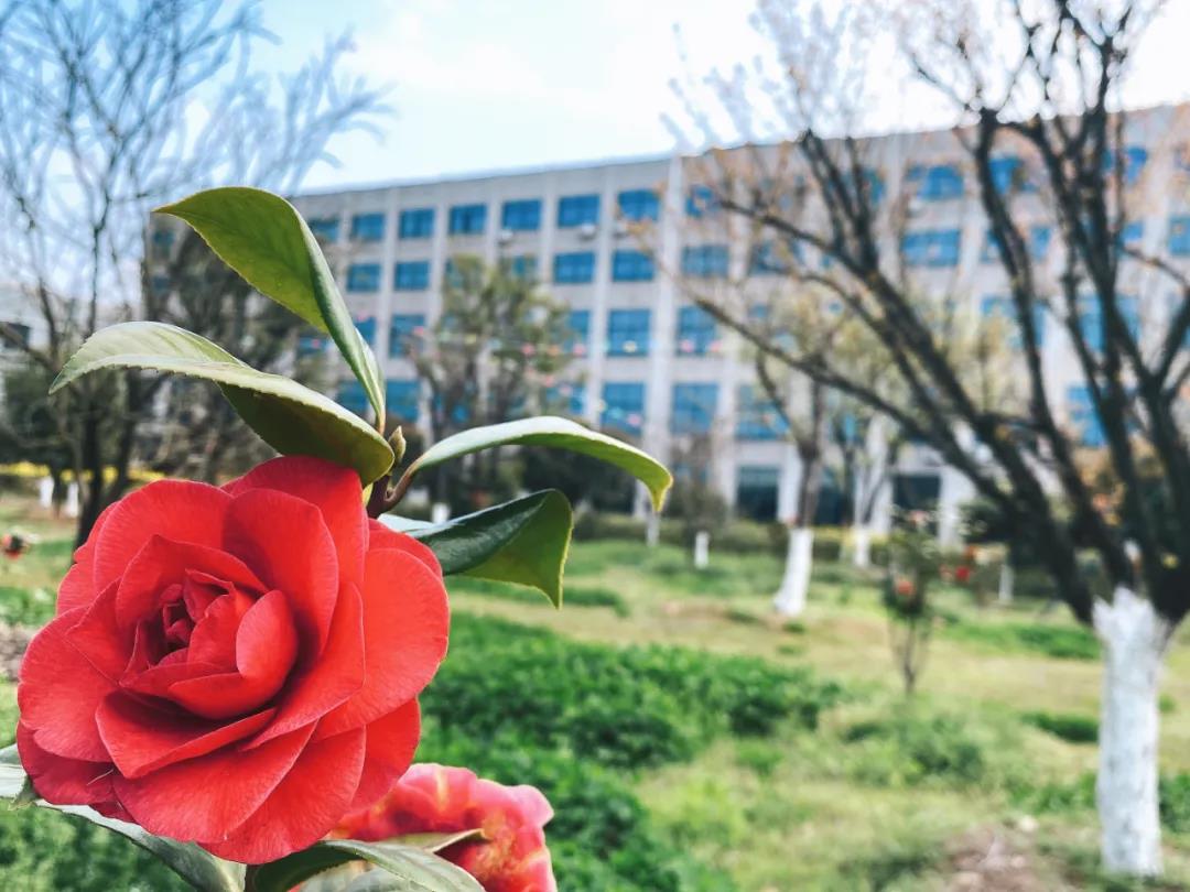 風(fēng)景這邊獨好！東大環(huán)境美景一覽，請查收